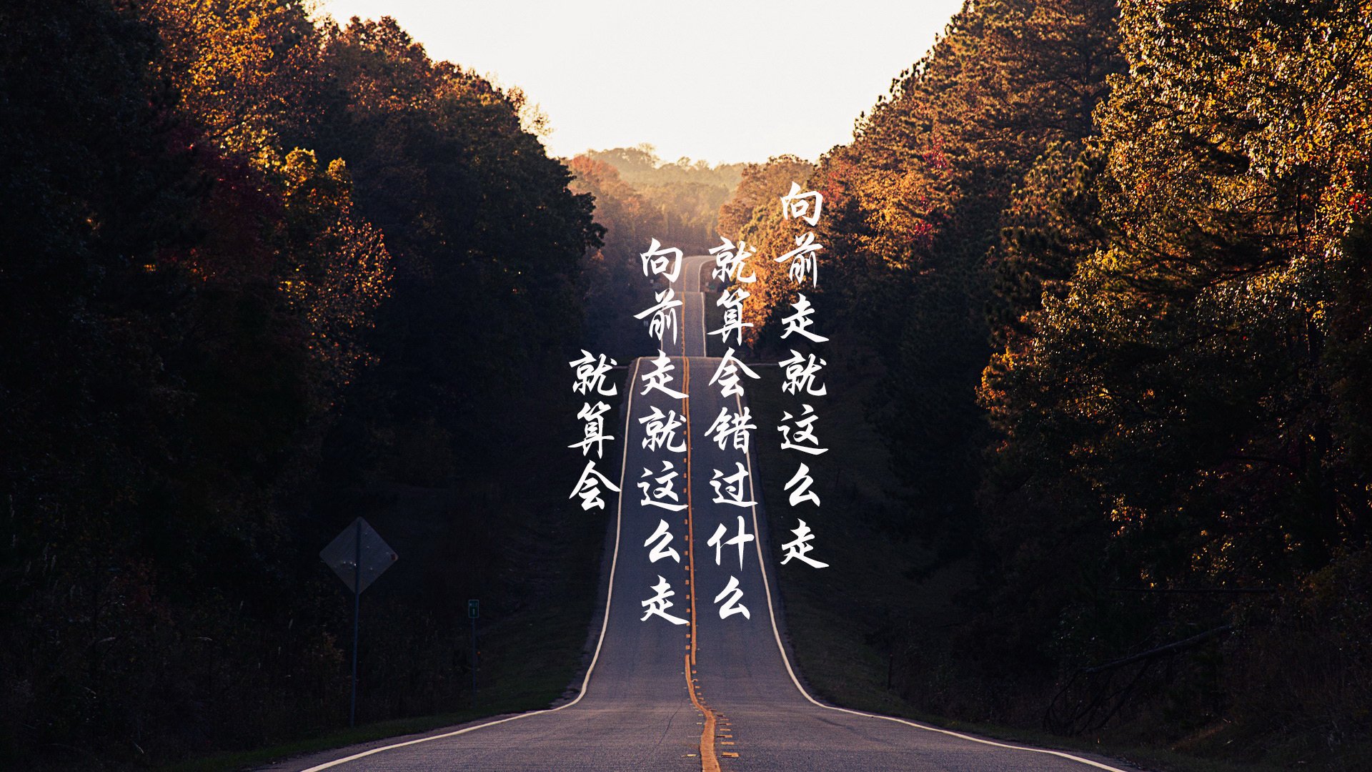 “豪车飙速:性能与速度的巅峰碰撞”,豪车速度排名