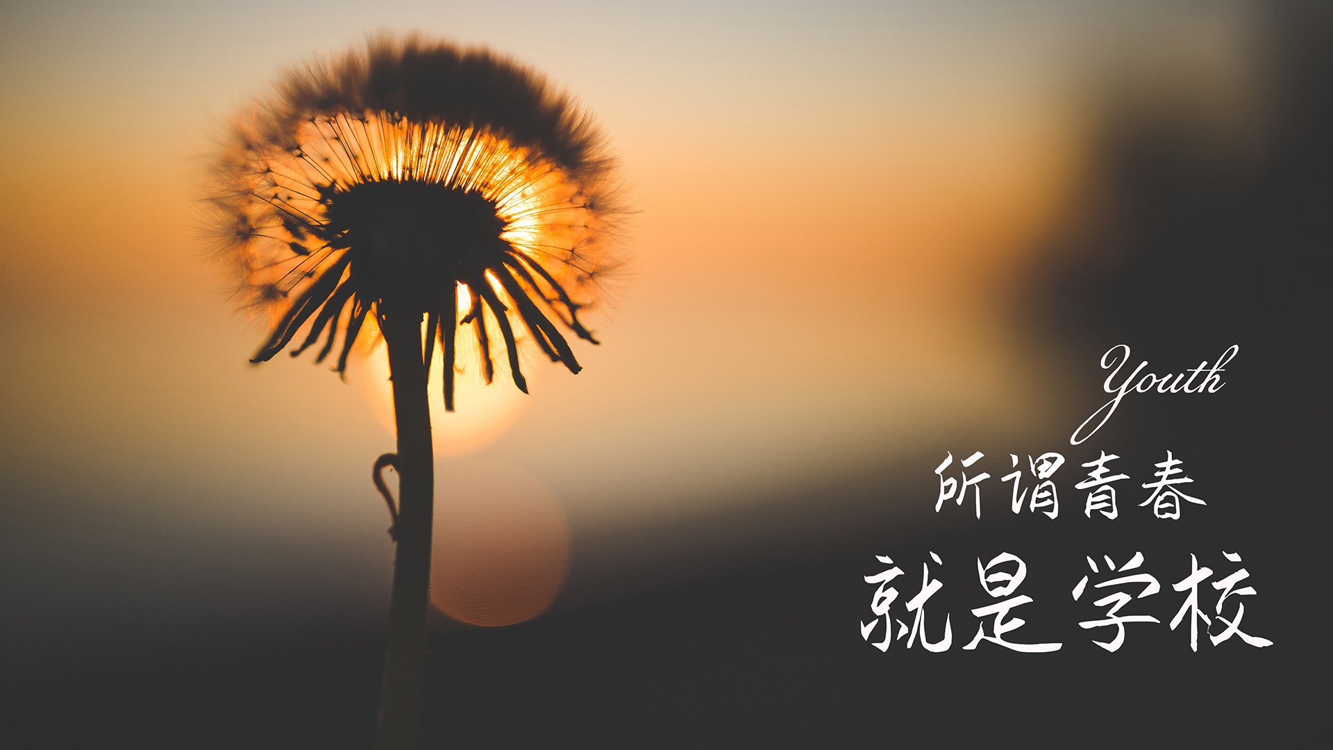 “豪车飙速:性能与速度的巅峰碰撞”,豪车速度排名