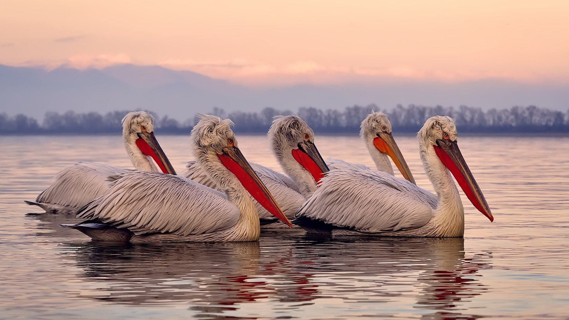爱游戏电竞同步-今年联盟中场得分最高的球员是哪位？，今年联盟中场得分最高的球员是哪位球星